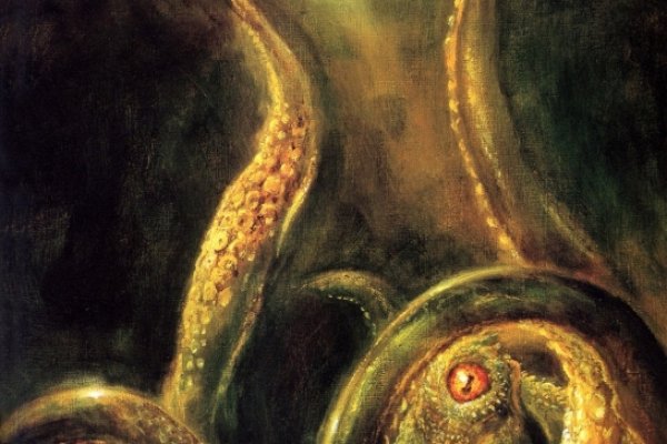 Kraken tor onion зеркало