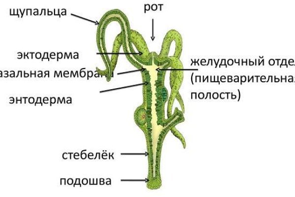 Кракен дарк сайт