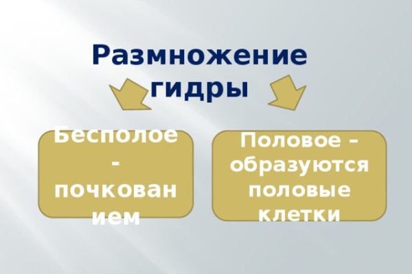 Кракен это современный даркнет маркет